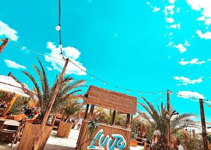 D10 Retreats Lidl Area Navodari