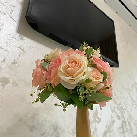 D10 Retreats Lidl Area